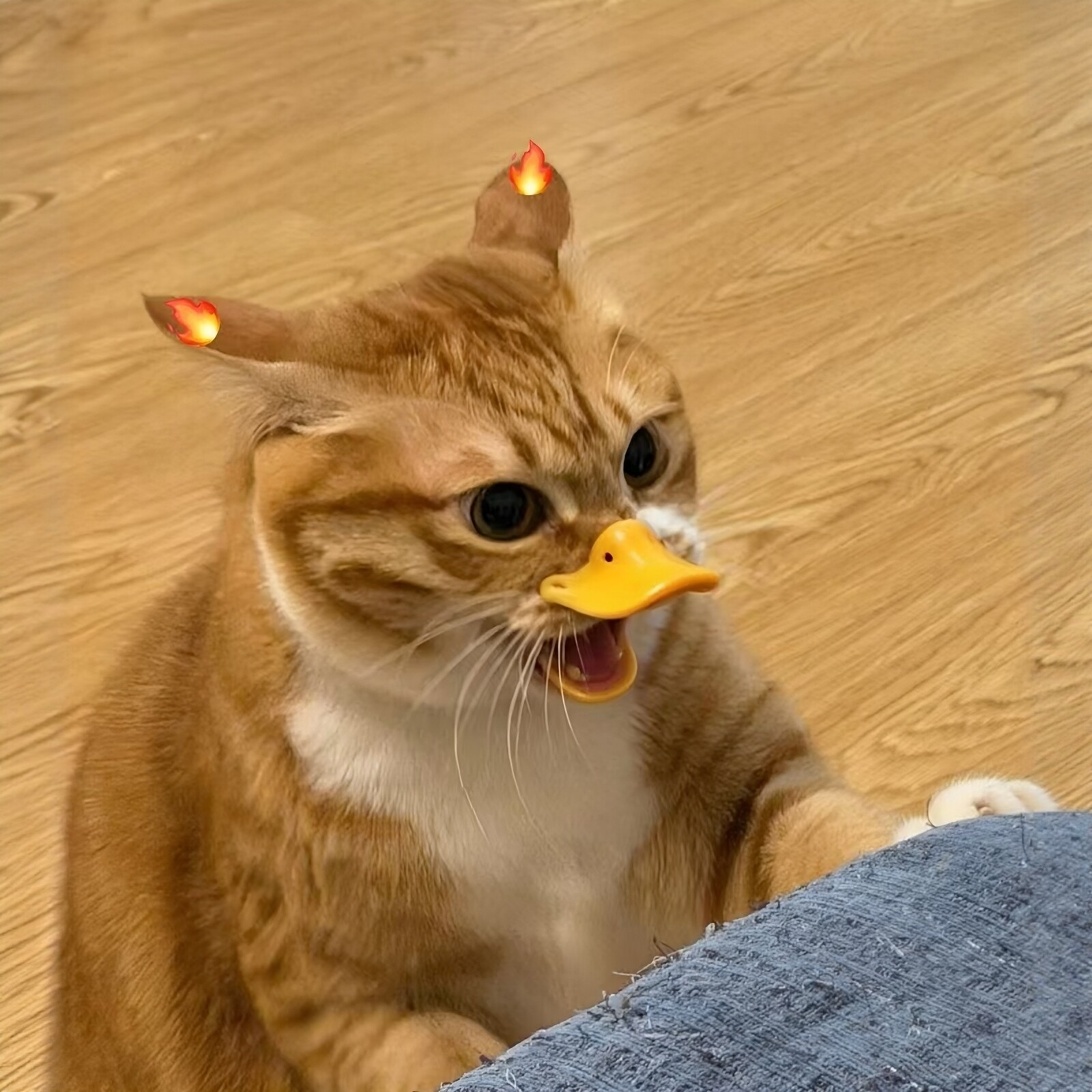 猫咪鸭嘴套防乱咬防误食宠物硅胶口罩小型犬牢固不掉透气止吠神器