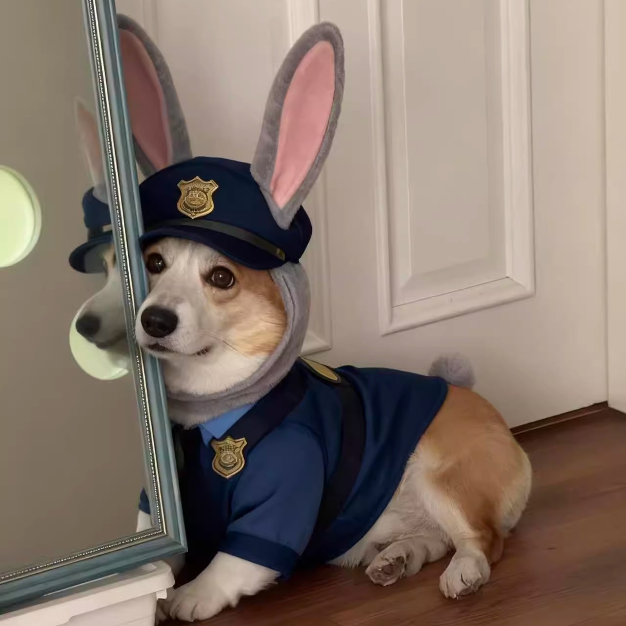 疯狂动物城朱迪宠物毛绒头套小狗猫咪cos兔子警官连帽衣服有尾巴