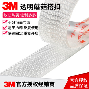 3MSJ3560透明蘑菇搭扣双面背胶魔术贴汽车牌照装 潢婚纱照粘扣 饰装