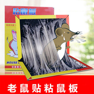 粘鼠板老鼠贴驱鼠器灭鼠器夹老鼠胶老鼠笼家用捕鼠器厨房 加厚装