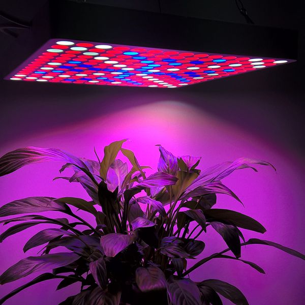 New 50Watt LED Grow Light- Red, White, And Blue LEDs