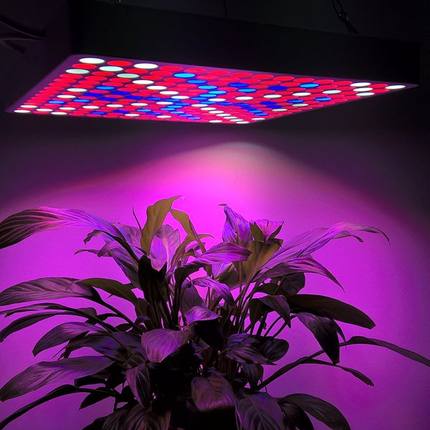 50Watt LED Grow Light - Red, White, And Blue LEDs