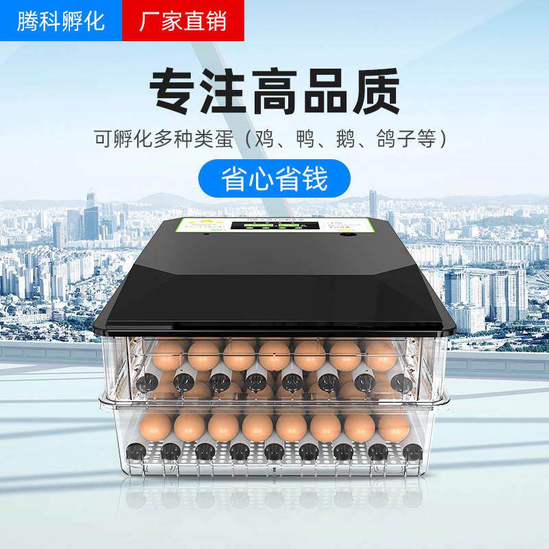 自动单双电小型家用孵化器鸡鸭鹅全自动孵化机水床孵化器双电源在类目 五金/工具, 仪器仪表, 电热工具中 - 来自Buy2taobao.com提供专业的淘宝代购服务