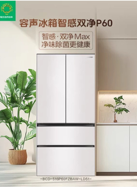 Ronshen/容声BCD-516P60FZGAK法式超薄零嵌入一级多门双系统冰箱