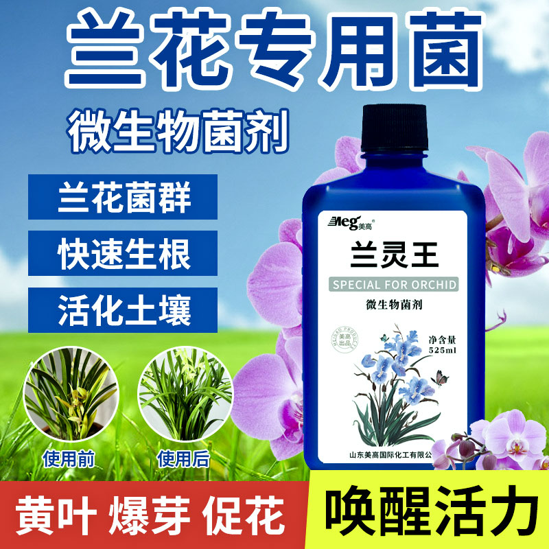 兰灵王蝴蝶兰专用肥料营养液EM菌营...