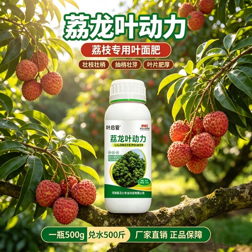 荔枝龙眼果树叶动力增强光合叶片厚绿抽梢壮芽植株健壮新款叶面肥