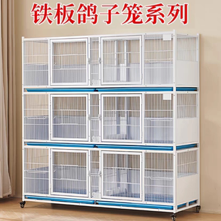 精品鸽笼加粗加密间距鸽子笼配对笼信鸽笼鸡笼鸽大号防老鼠黄鼠狼
