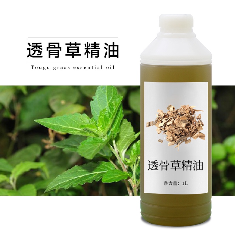 透骨草散结油药油肩颈淋巴疏通精油草本植物中药精油祛湿疏通止痛