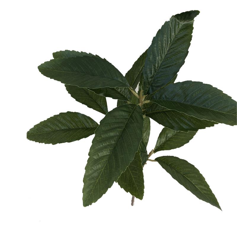 厂樱家新品仿真 枇杷叶栎 盆桃芒038  039果水果装饰枇杷果树叶乔