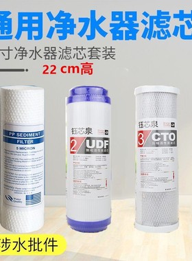 8.8寸净水器滤芯8.8寸PP棉滤芯 UDF活性碳CTO压缩碳滤芯22cm包邮