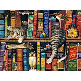 新款DIY方钻满钻钻石画书架上睡着的猫咪砖石绣全贴钻十字绣套件