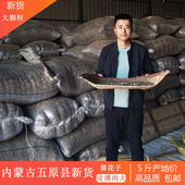 生瓜子 发批坚果新鲜零食 葵花籽新货大颗粒内蒙原味葵花子5斤散装