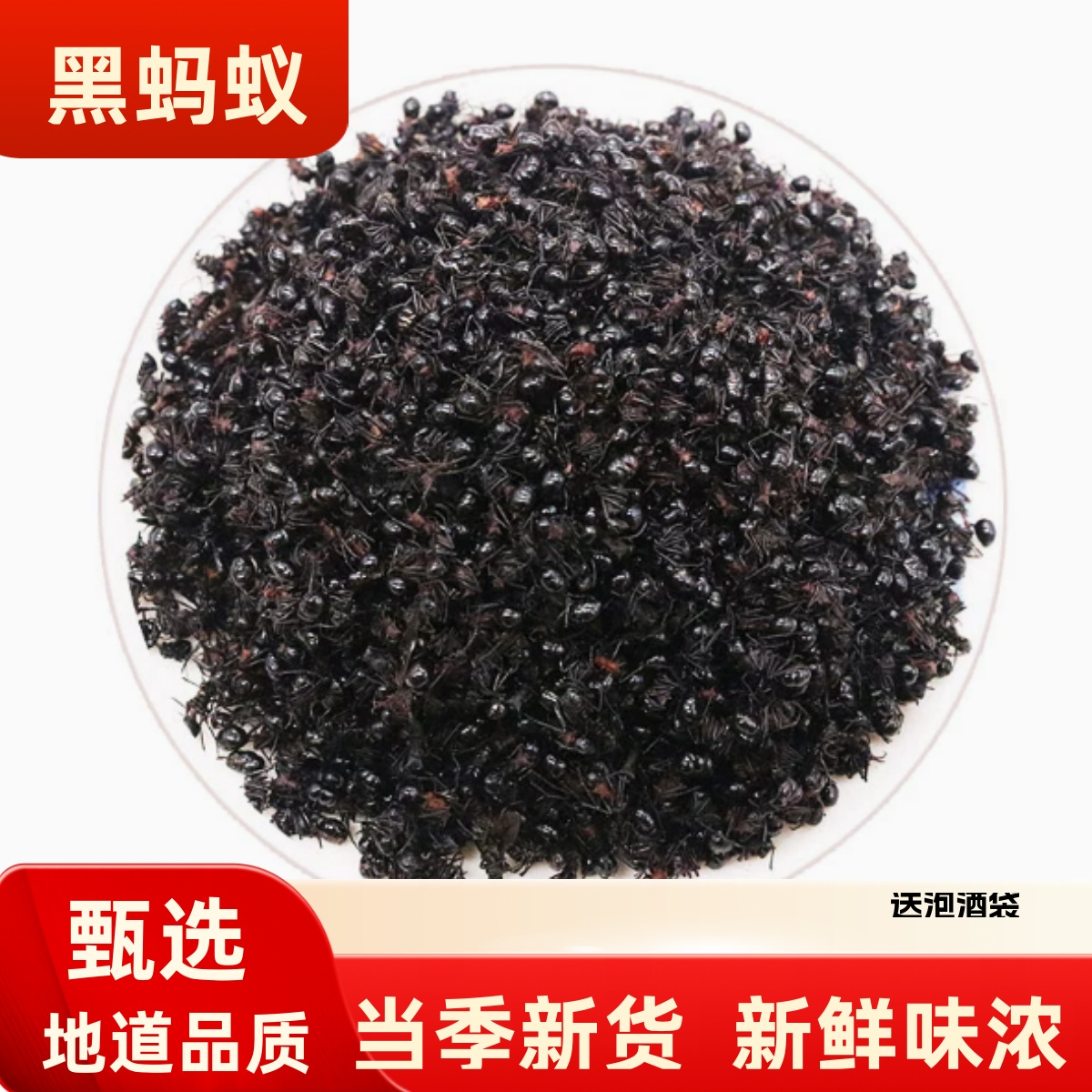 黑蚂蚁中药材正品横县黑蚂蚁干500g克拟黑多刺蚁泡酒料可磨粉