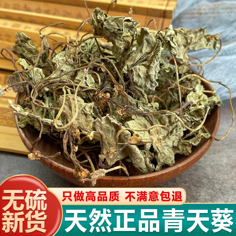 青天葵无硫自然晒干青天葵中药材