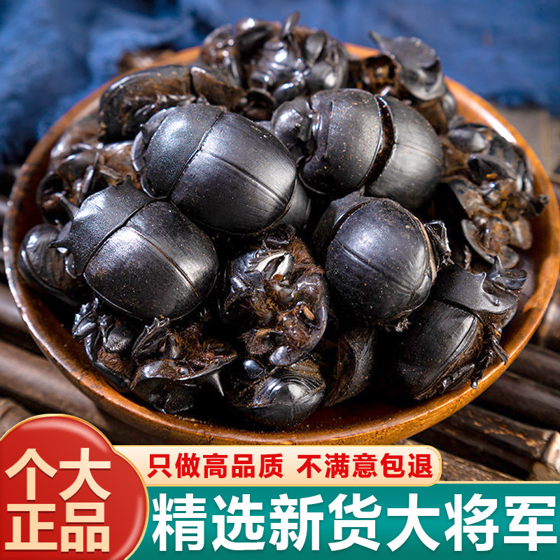 大将军清水蜣螂打粉50/100克