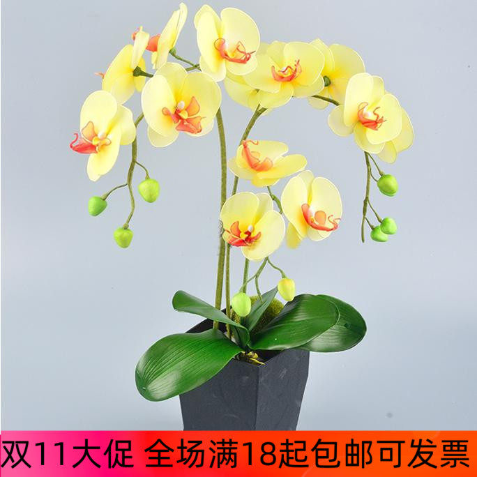 蝴蝶兰材料丝网花丝袜手工diy