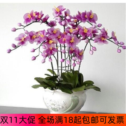 丝网花材料 丝网花蝴蝶兰 丝袜花艺材料
