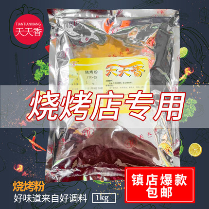 天天香烧烤粉1kg秘制烧烤调料撒料 油炸串羊肉串烤肉串增香粉商用