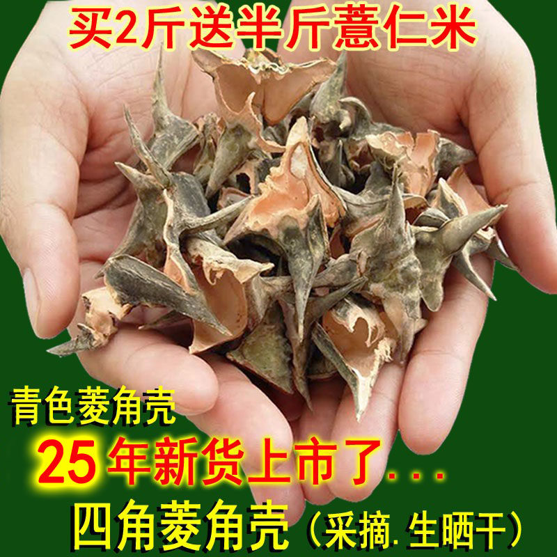 2025自然晒干野外生长新鲜四角菱角菱角壳干货红菱角壳无肉菱角皮