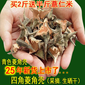 野生江苏宿迁菱角四角菱壳