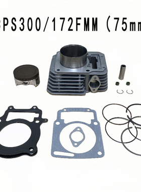 摩托车套缸适用 Italika Vortx 250 CPS300 RATO RBT250 RW172FMM