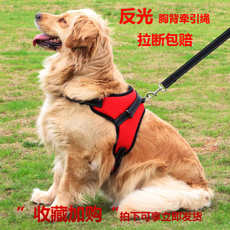 狗狗牵引绳狗绳狗链子中小型犬金毛拉布法牛柯基遛狗绳子宠物用品