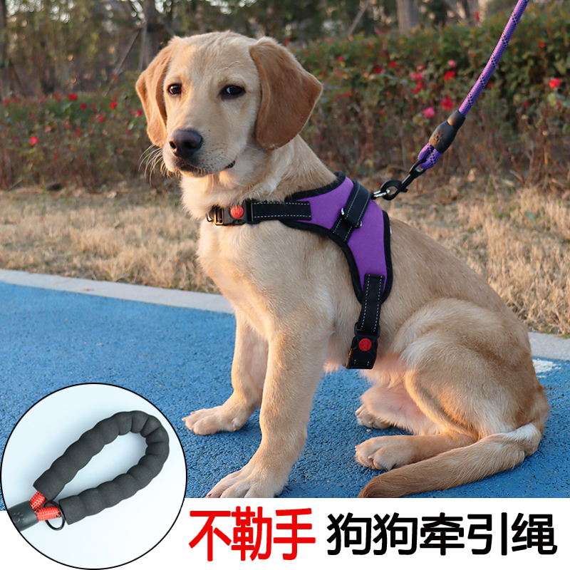 狗狗牵引绳可调节胸背带拉断换新