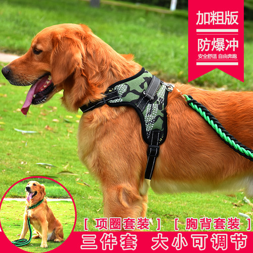 大狗狗牵引绳带遛狗拉布拉多拴狗
