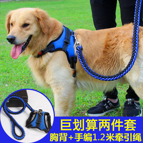 加粗三件套狗狗牵引绳小中大型犬金毛秋田狗链子胸背带项圈狗绳子