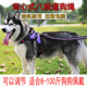 狗狗牵引绳伸缩金毛拉布拉多背心式 训犬绳牧羊犬遛狗项圈马犬狗链