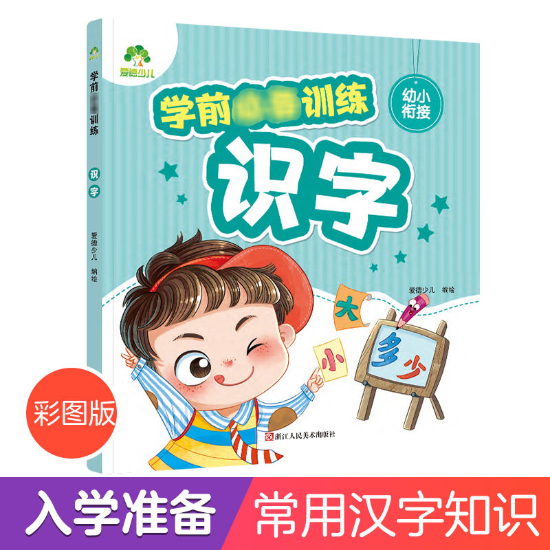 学前常备训练识字学前早教幼小衔接拼音幼儿园宝宝识字书练字本学前班大班拼音教材书籍中班儿童书幼儿园3-6岁学前班升一年级