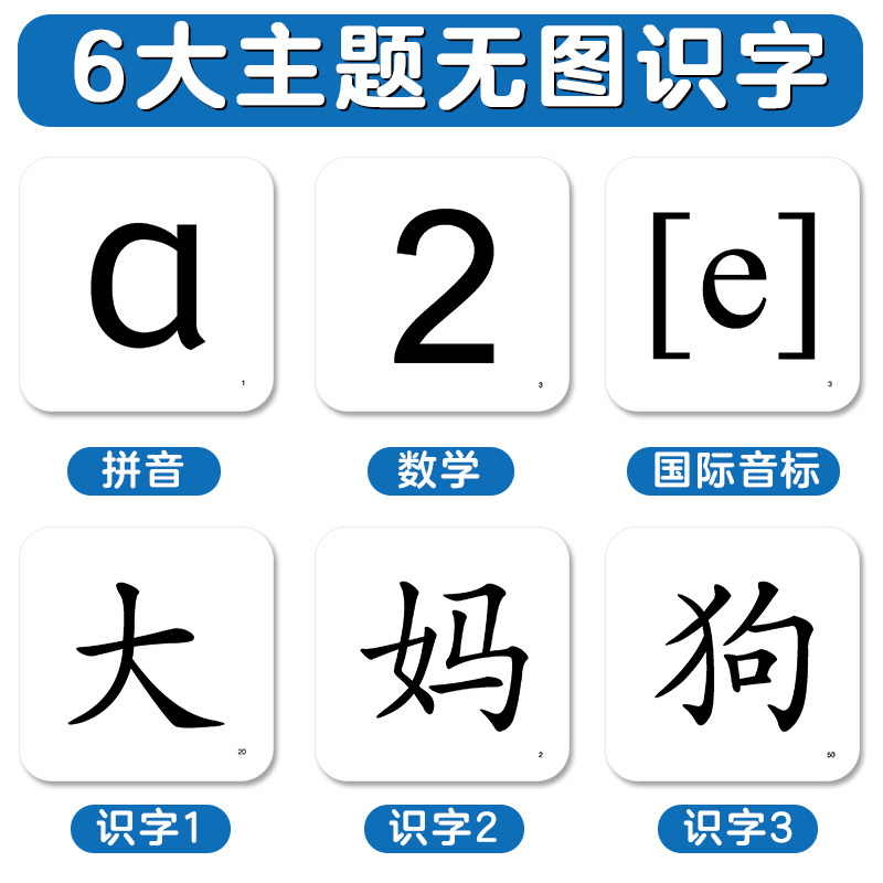 儿童识字卡片全脑记忆多功能无图学习卡6册识字3幼儿园大班学龄前儿童3-6岁小学生识字卡启蒙幼儿认字无图拼音国际音标数学