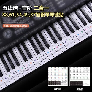 彩色英文88键钢琴键盘贴纸五线谱音名61/54/49键电子琴键盘音阶贴