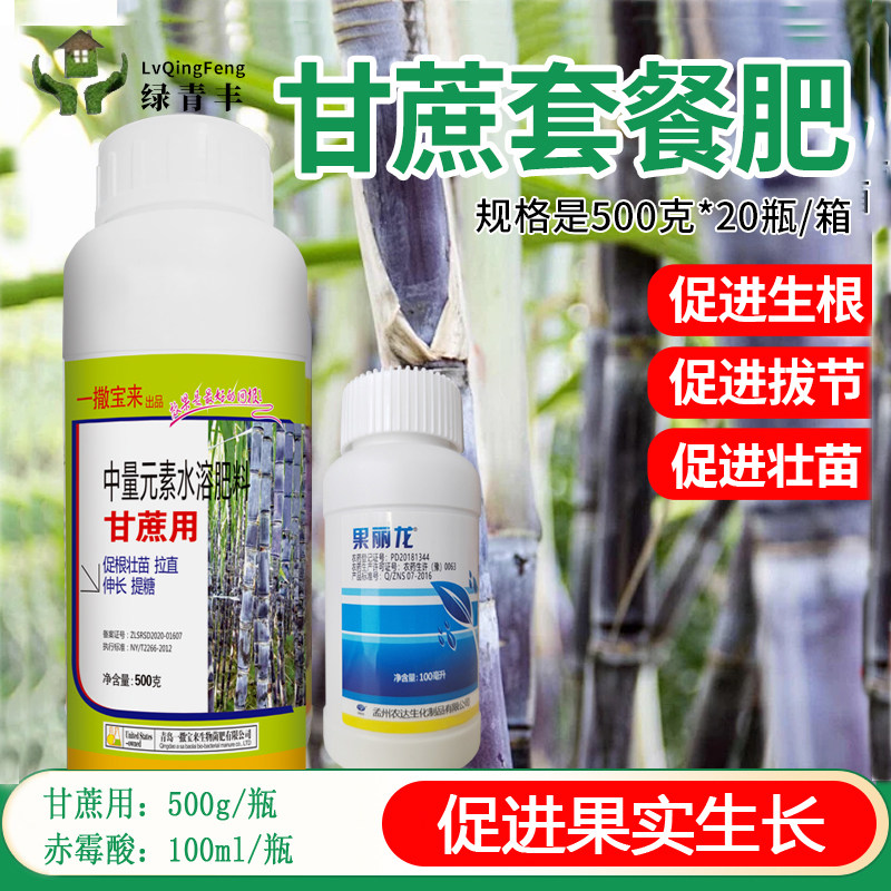 甘蔗增粗增长增甜增产甘蔗壮丰素