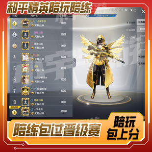 和平精英古墓迷途护航代练代打陪玩陪打晋级赛上分KD段位战神吃鸡