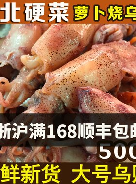 乌子苏北盐城特产乌贼墨鱼海兔