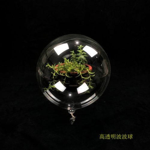 高透明无痕波波气球皮高圆形