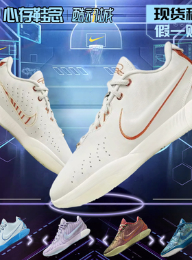 Nike耐克詹姆斯21代篮球鞋男款LEBRON21后卫实战专业气垫鞋FV2346