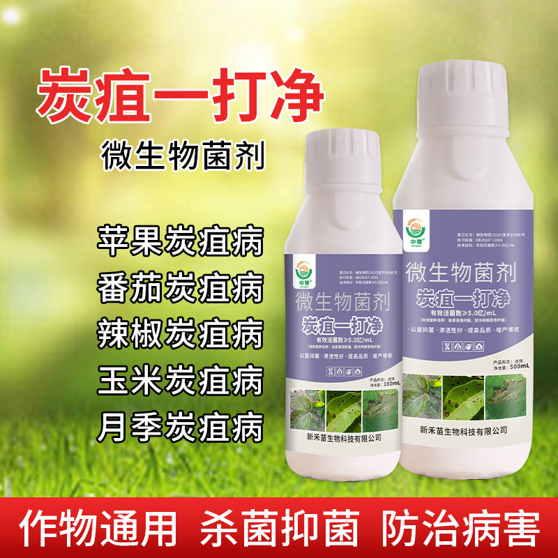 果树草莓柑橘黄瓜辣椒番茄炭疽病