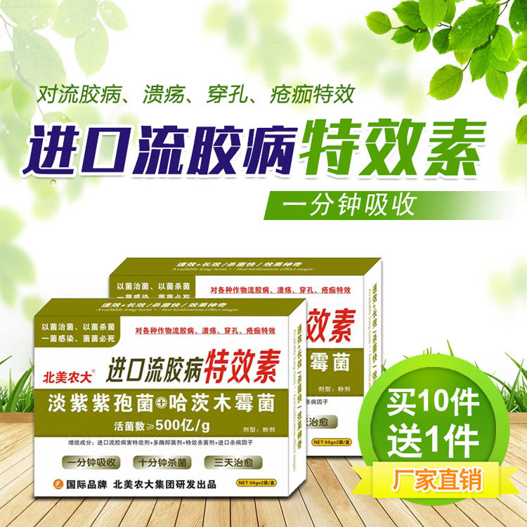 进口流胶病特效素流胶病杀菌剂果树樱桃树西瓜黄瓜流胶病专用药剂