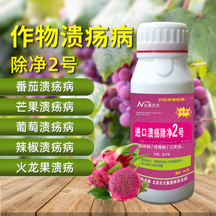 进口溃疡病除净2号果树柑橘溃疡病杀菌剂辣椒番茄溃疡病专用正品