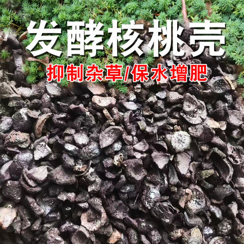 腐熟核桃壳兰花石斛植料