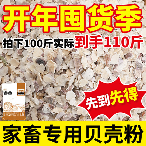 贝壳粉100斤批发喂鸡鸭鹅鸽子