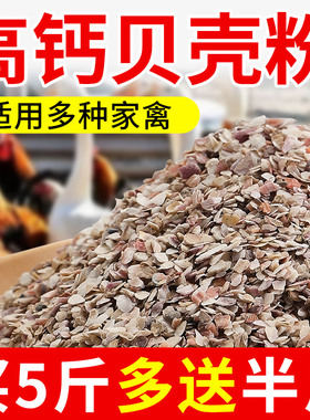 贝壳粉喂鸡用饲料鸭鹅鸽子芦花鸡猪家禽防啄蛋鹌鹑产蛋专用保健砂