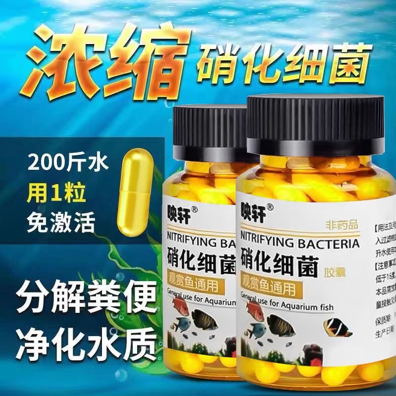 到手3瓶超级硝化细菌鱼用浓缩养鱼活菌硝化菌净水剂水质稳定剂