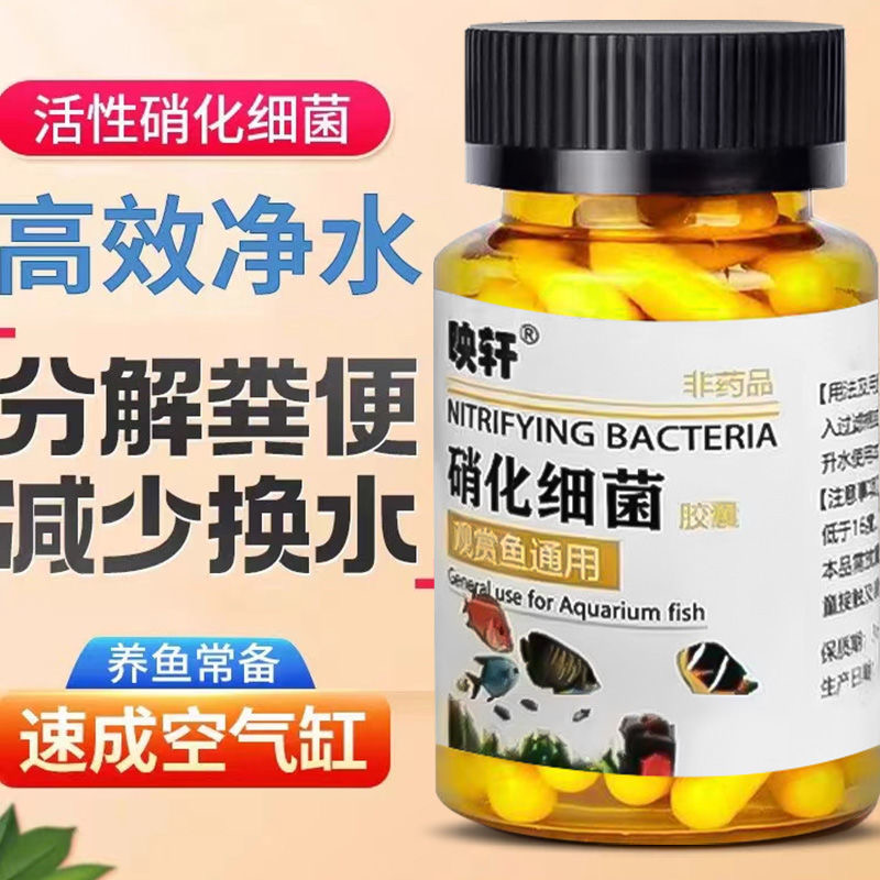 拍一发二硝化活菌观赏鱼通用硝化细菌胶囊鱼缸去腥臭味净化水质