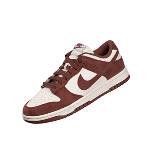 RETRO BROWN 潮流复古百搭经典 NIKE HJ7673 LOW 低帮板鞋 001 DUNK