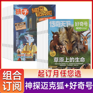 好奇号+神探迈克狐杂志组合 2026年起订 小学生课外阅读思维启蒙训练教育课外阅读自然历史文化期刊