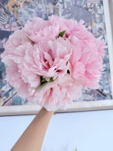 粉色芍药鲜花鲜切花芍药花束雪映桃花
