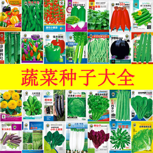 菜种子白菜萝卜旱黄瓜胡萝卜生菜香菜空心菜豆角菜籽种大全四季葱
